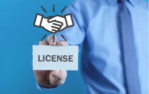 Get a Business License