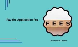 Pay the Application Fee