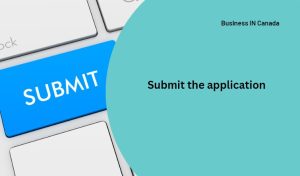 Submit The Application