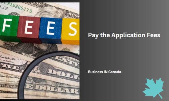 Pay the Application Fees