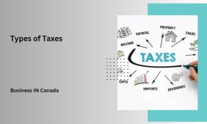 Types of Taxes