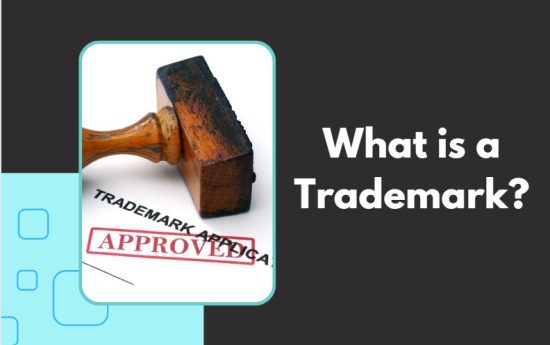 How to Trademark a Name in Canada? - A Comprehensive Look at the Process