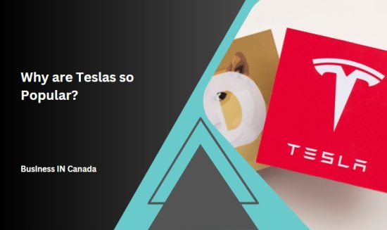 Why are Teslas so Popular?