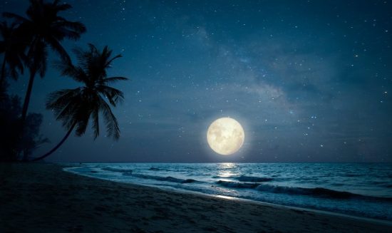 Chill at Moonlight Beach