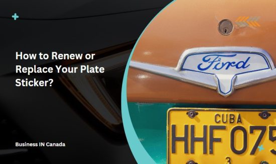How to Renew or Replace Your Plate Sticker?