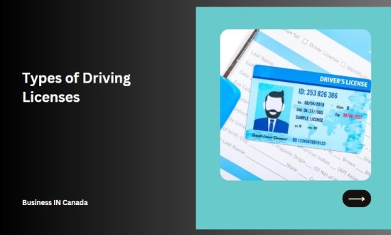 Types of Driving Licenses