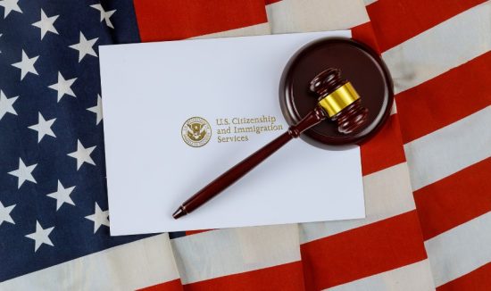 Understand US Immigration Process