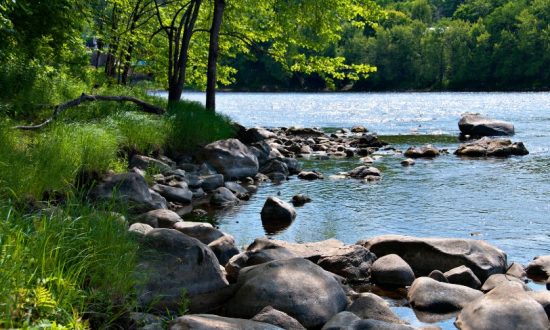 Visit Riverside District and Meewasin