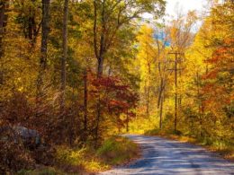 When Does Fall Start in Canada? - Embrace the Change of Seasons