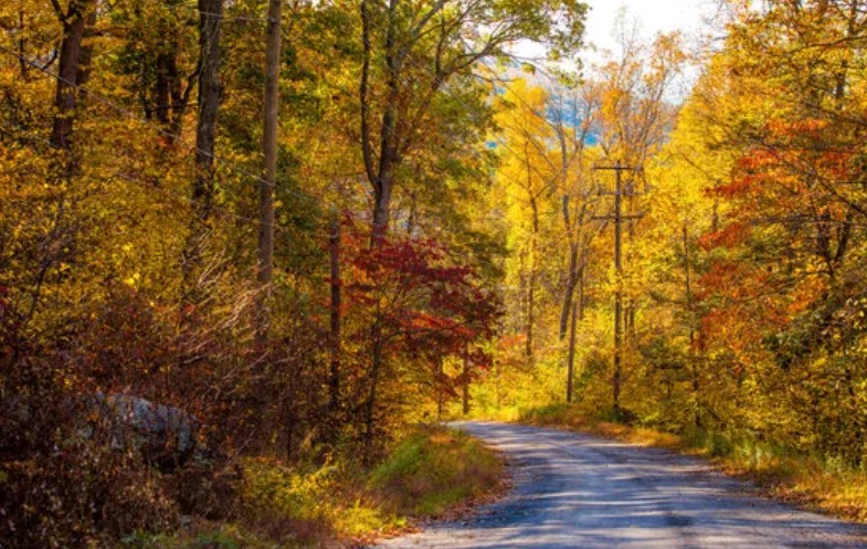 When Does Fall Start in Canada? - Embrace the Change of Seasons
