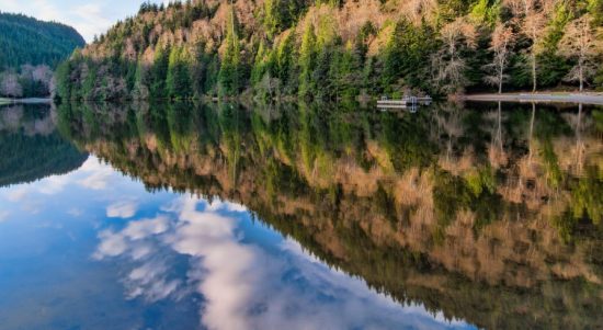 Alice Lake