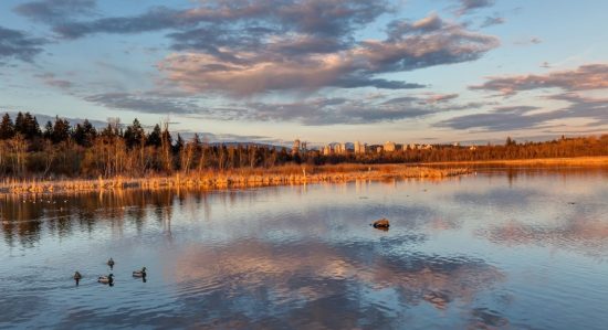 Burnaby Lake