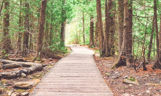 Etobicoke Creek Recreational Trail