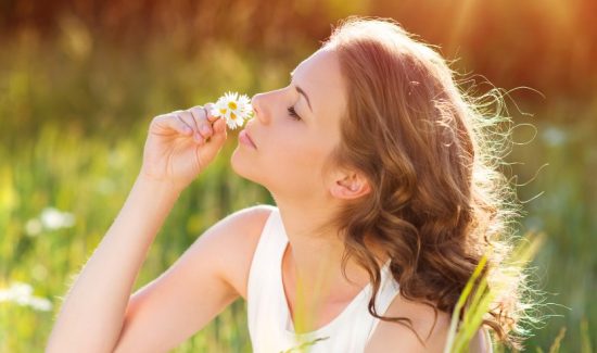 Smell the Flowers at Oshawa Valley Botanical Garden