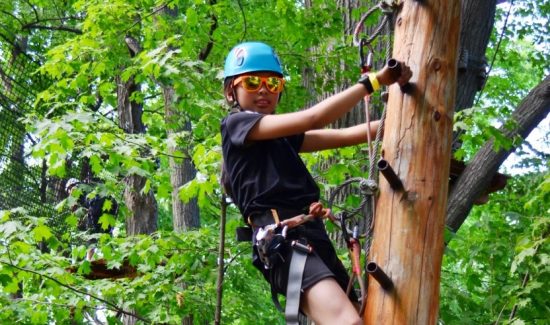 Treetop Trekking at Heart Lake Conservation Area