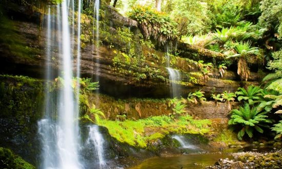 Visit Belfountain Conservation Area & Falls