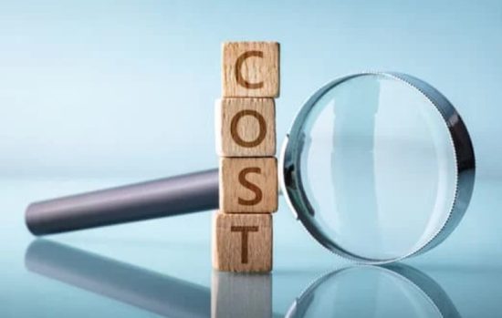 How Much Does It Cost to Extend Visitor Visa in Canada