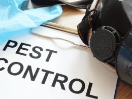 Why Commercial Properties Should Have Pest Control Contracts