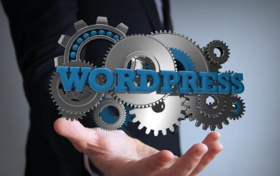 Use WordPress to grow your blog