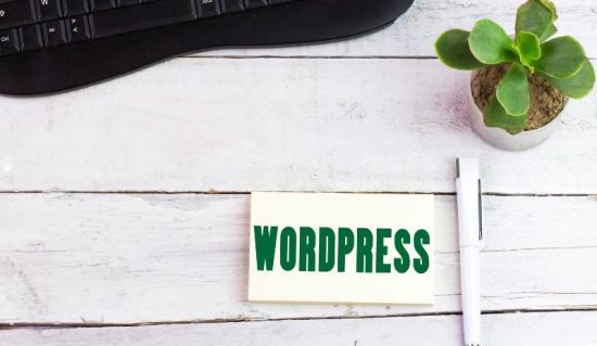 WordPress can generate awareness of your business