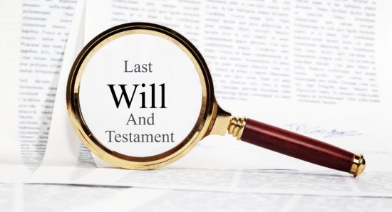 The Will-ing Story Begins
