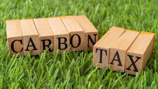 How Does the Carbon Tax Rebate Impact Households and Businesses?