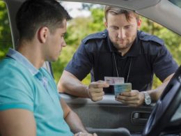 How to Look Up Tickets by License Plate?