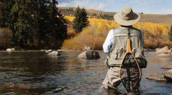 Can You Get a Criminal Record for Illegal Fishing in Canada?