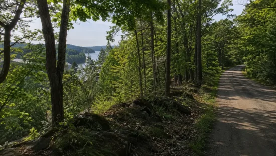 Where Is the Rosseau Springs Development Proposed